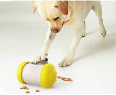 Interactive Pet Treat Dispenser Toy