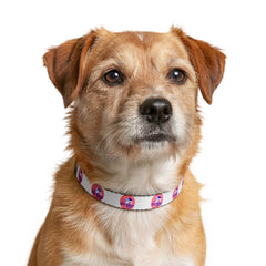 Clip-On Pet Collar — Pink Paw Print Personalized Dog Collar