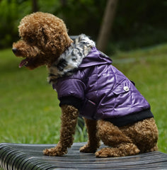 Warm Hooded Fashionable Dog Coat
