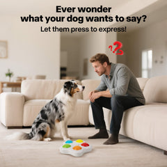Interactive -Dog Toy - Pet Brain Trainning buttons