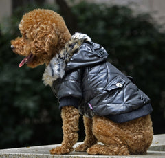 Warm Hooded Fashionable Dog Coat