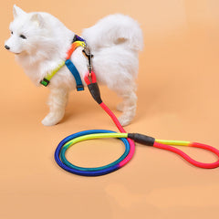Colorful Nylon Round Hand Holding Dog Leash