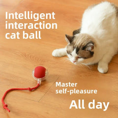 Rechargeable Smart Automatic Rolling Ball Toy for Cats and Dogs