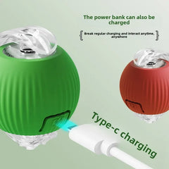 Rechargeable Smart Automatic Rolling Ball Toy for Cats and Dogs