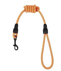 Durable Nylon Pet Leash