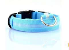 Glowing Night Safety Pet Collar