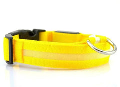 Glowing Night Safety Pet Collar