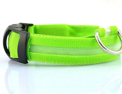Glowing Night Safety Pet Collar