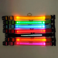 Glowing Night Safety Pet Collar