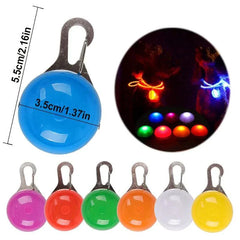 Glowing Night Safety Pet Collar