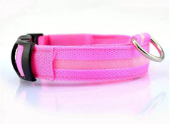 Glowing Night Safety Pet Collar