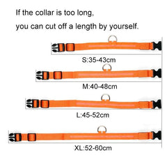 Glowing Night Safety Pet Collar