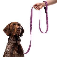 Patterned Pet Leash