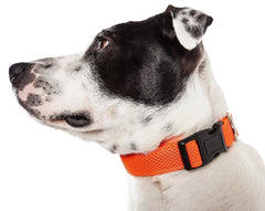 Aero Mesh Dual-Sided Breathable Adjustable Thick Mesh Dog Collar
