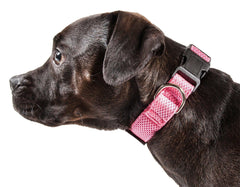 Aero Mesh Dual-Sided Breathable Adjustable Thick Mesh Dog Collar