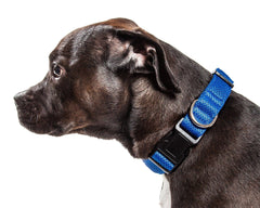Aero Mesh Dual-Sided Breathable Adjustable Thick Mesh Dog Collar